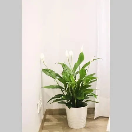 Apartamento Indautxu Viii By Aston